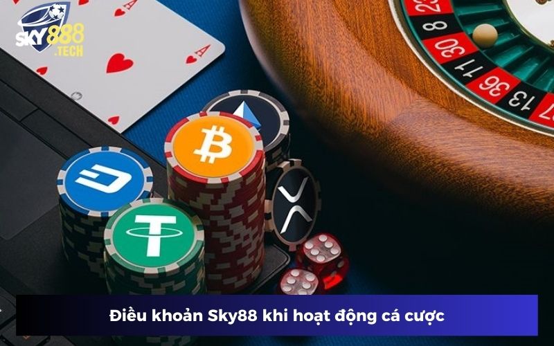 Điều khoản Sky88 khi hoạt động cá cược Điều khoản Sky88 khi hoạt động cá cược