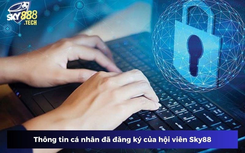 Thông tin cá nhân đã đăng ký của hội viên Sky88 Thông tin cá nhân đã đăng ký của hội viên Sky88